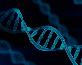 DNA